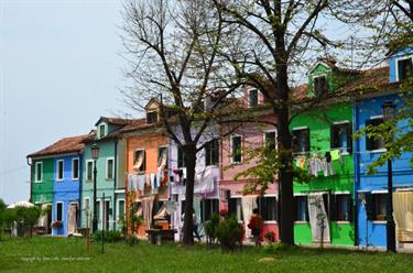 We explore Burano, DSE_8648_b_H490